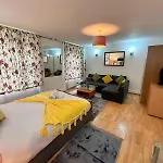 Bright Studio Apartment In Central London